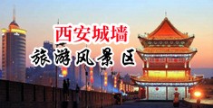 3p+高潮操逼美女中国陕西-西安城墙旅游风景区
